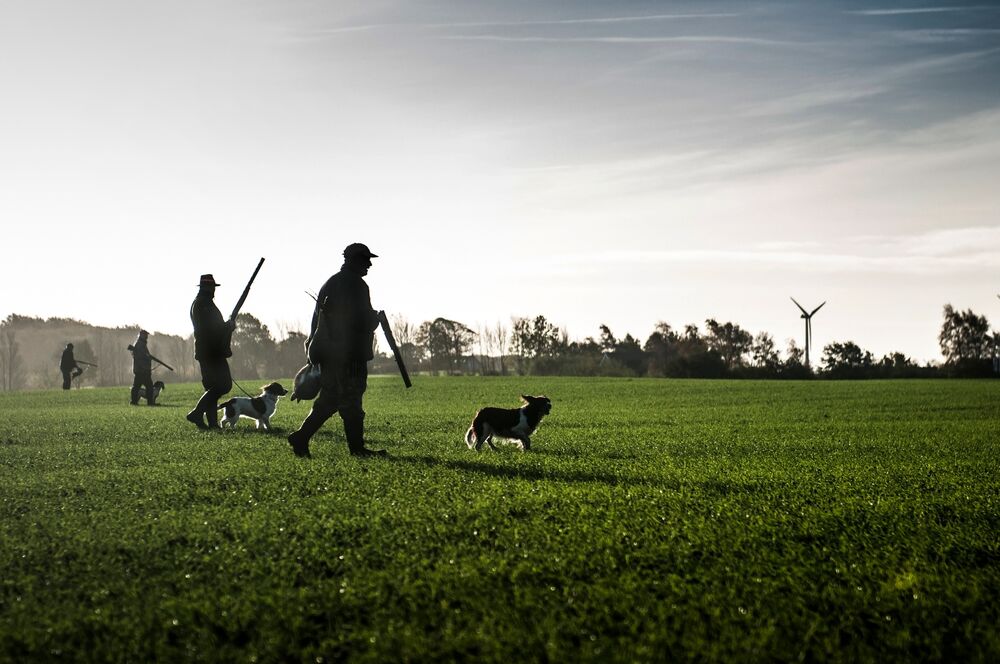 Country sports delivery Mc Cloys delivering to shooters across the UK and Ireland