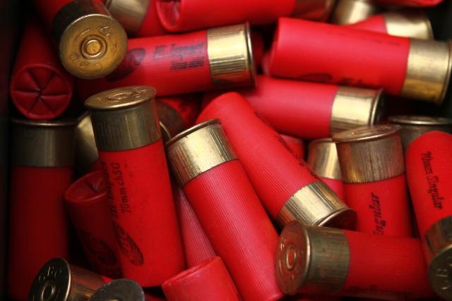 Choosing shotgun cartridges for clays and game